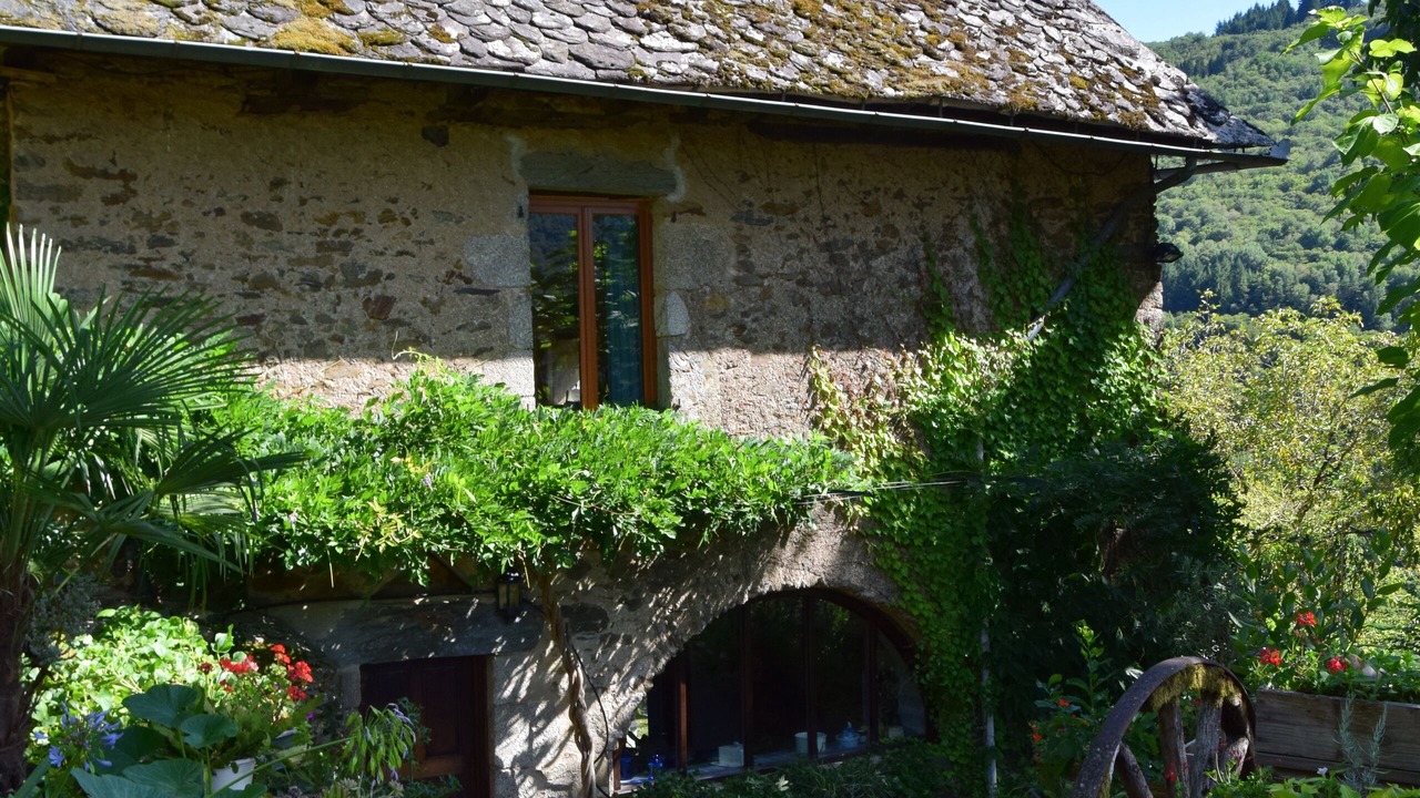 Photo of Outdoor in Vieillevie