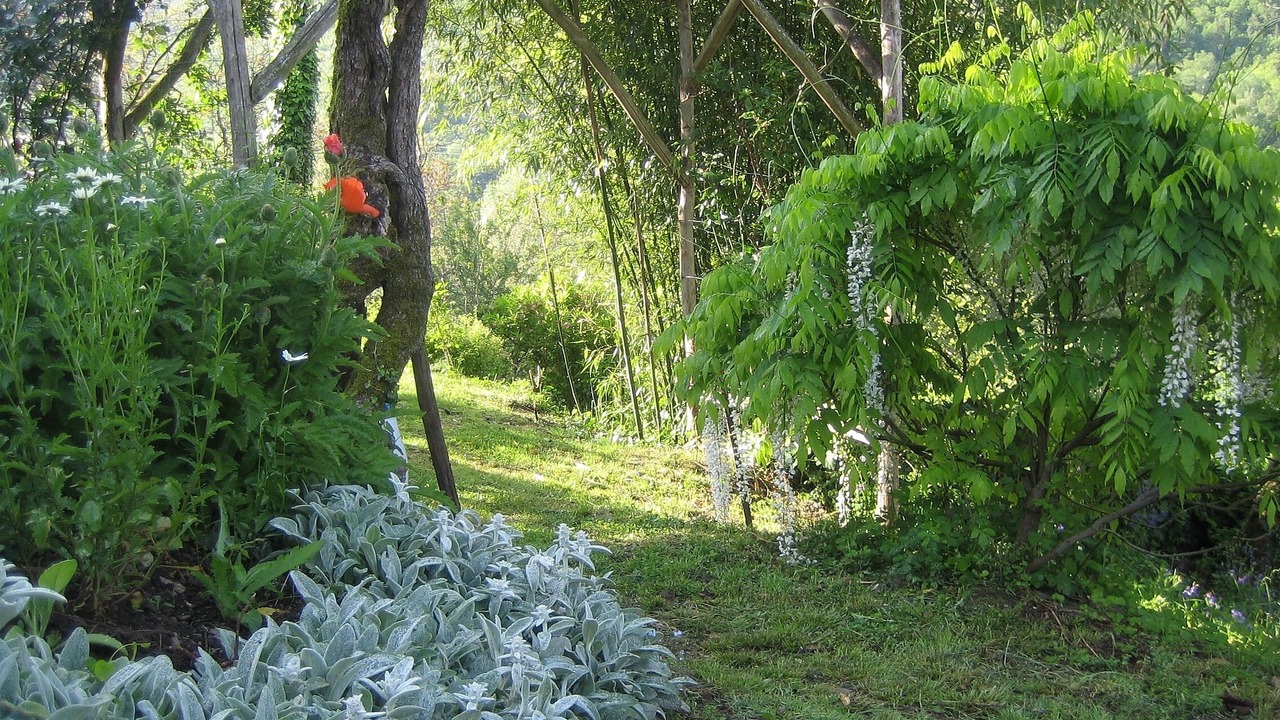 Photo of Outdoor in Vieillevie