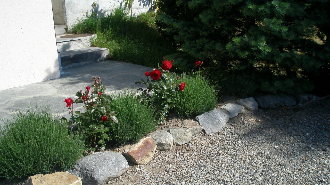 Photo of Outdoor in Salvan