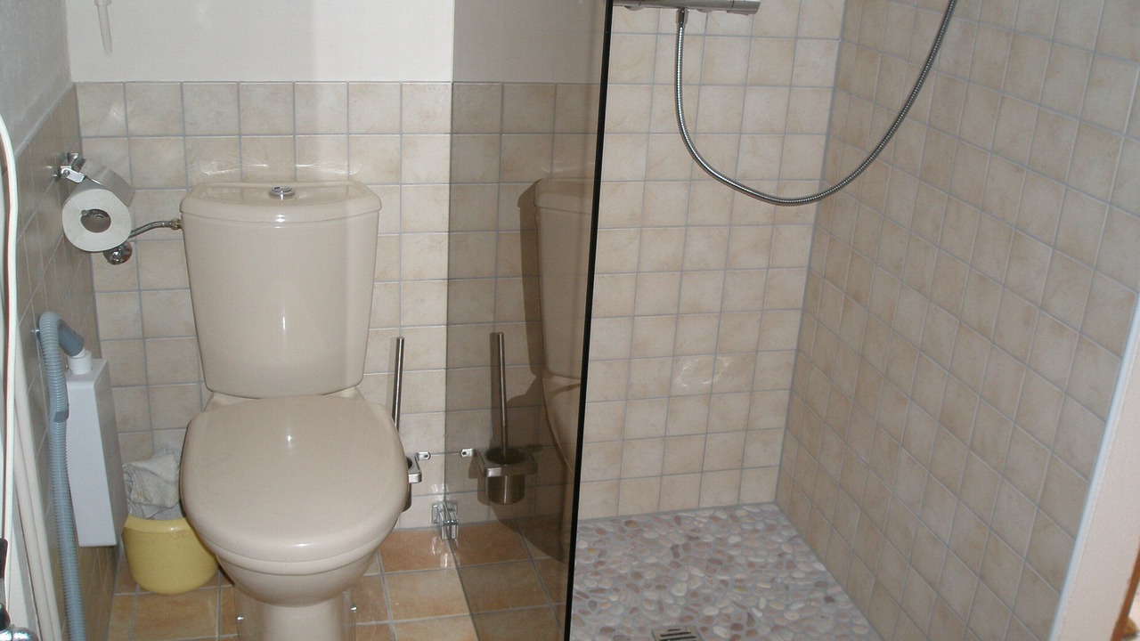 Photo of Bathroom in Salvan