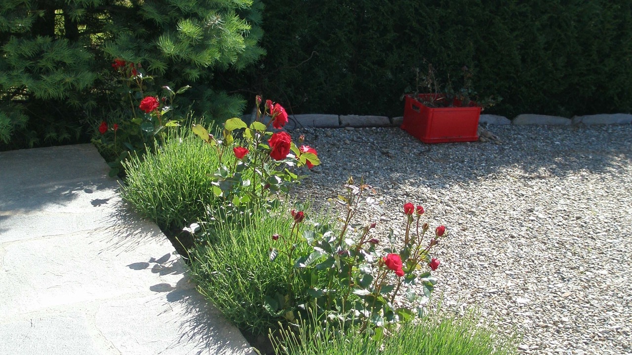 Photo of Outdoor in Salvan