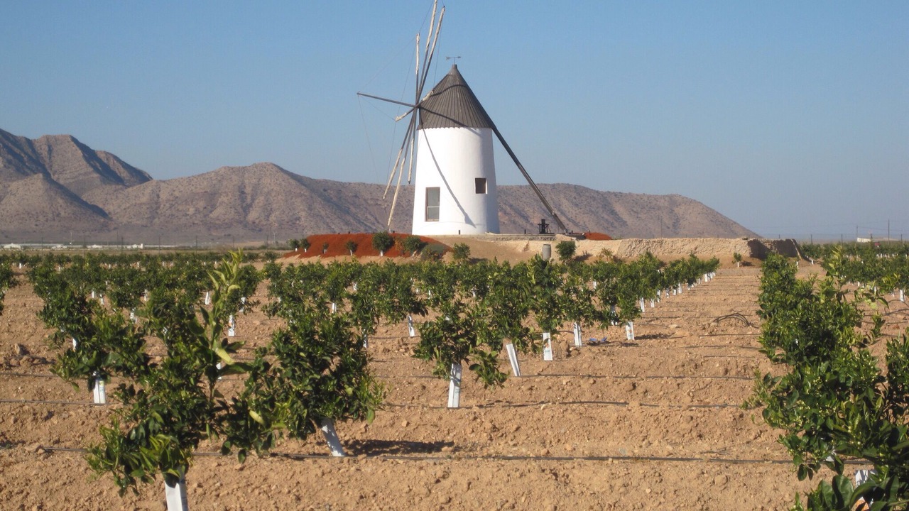 Photo of Others in Torre-Pacheco