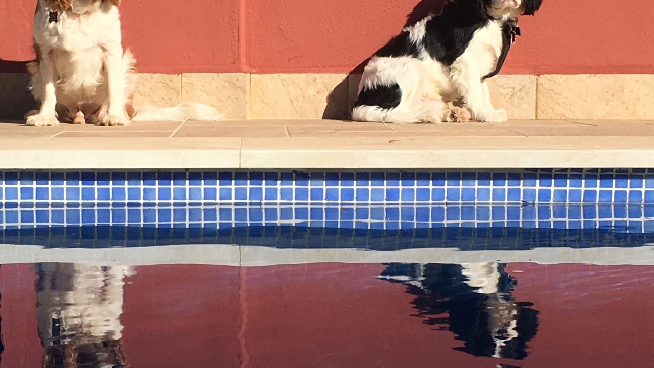 Photo of Others in Torre-Pacheco