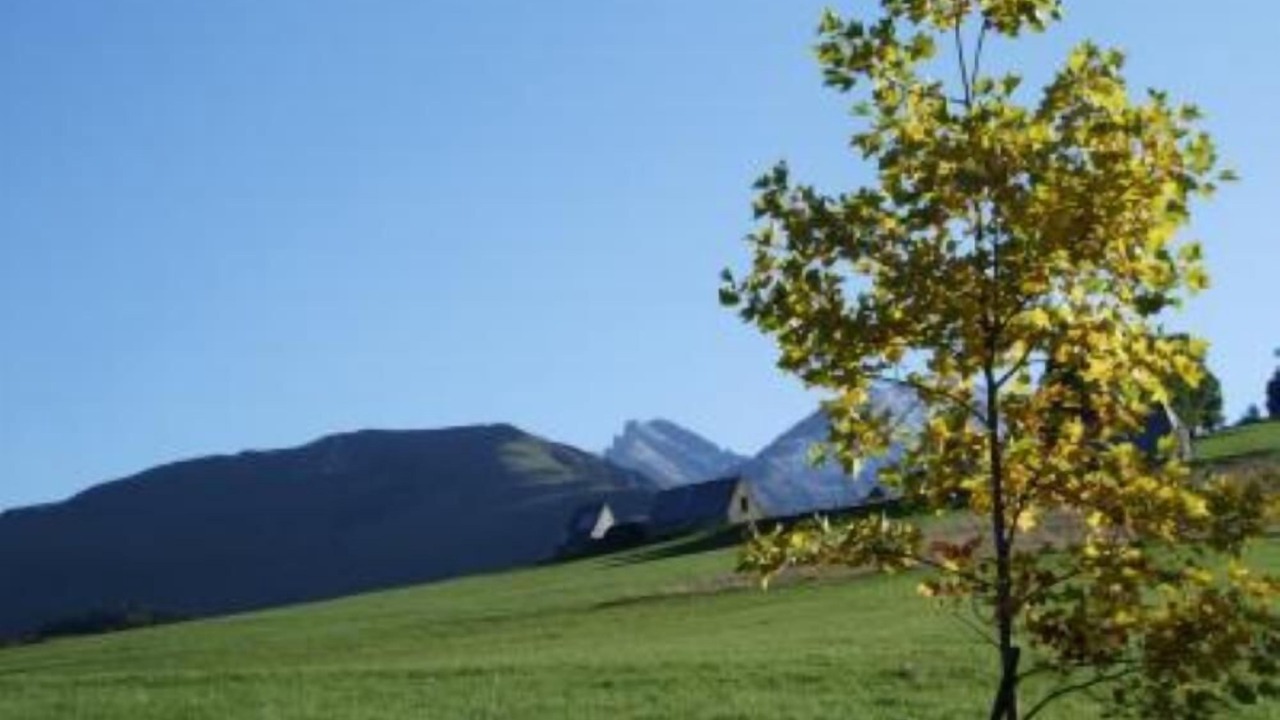 Photo of Others in Campan