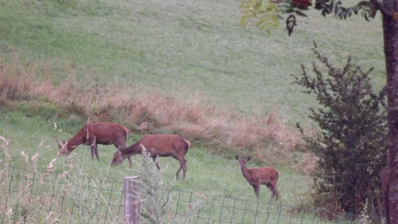 Photo of Outdoor in Campan
