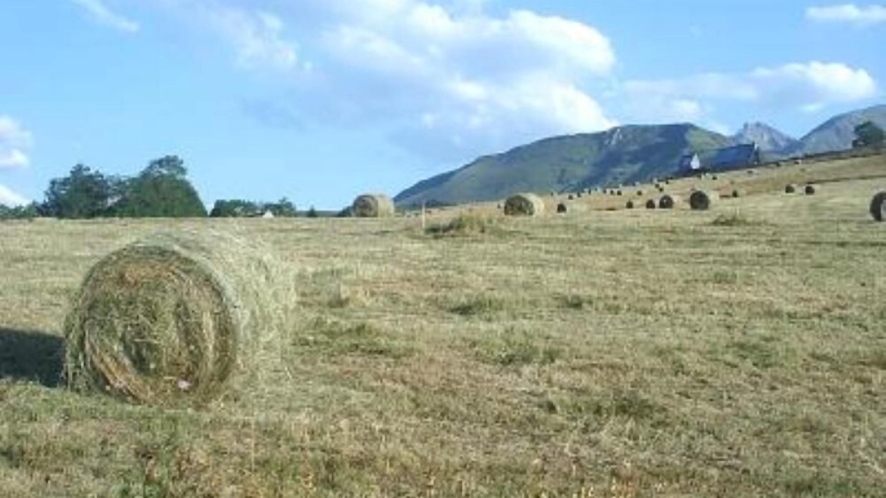 Photo of Others in Campan