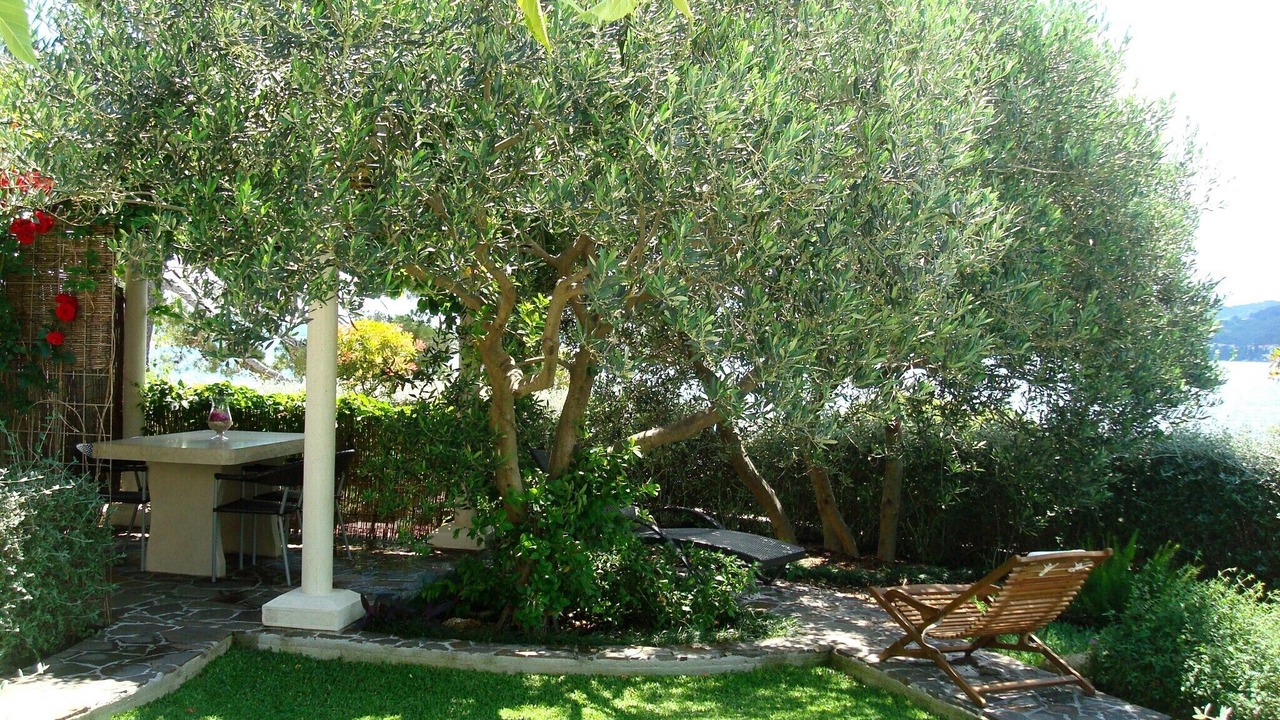 Photo of Outdoor in Kuciste