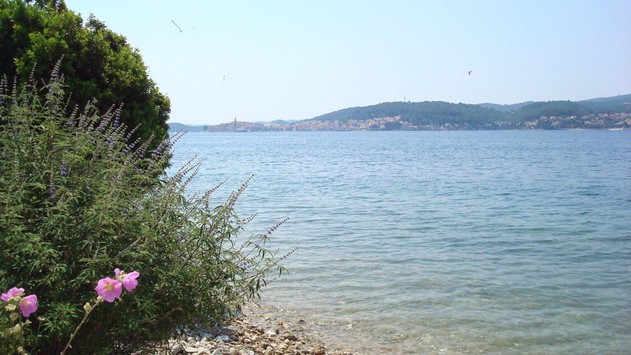 Photo of Others in Kuciste