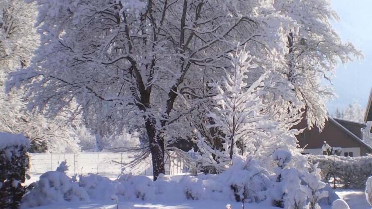 Photo of Outdoor in Les Praz-de-Chamonix