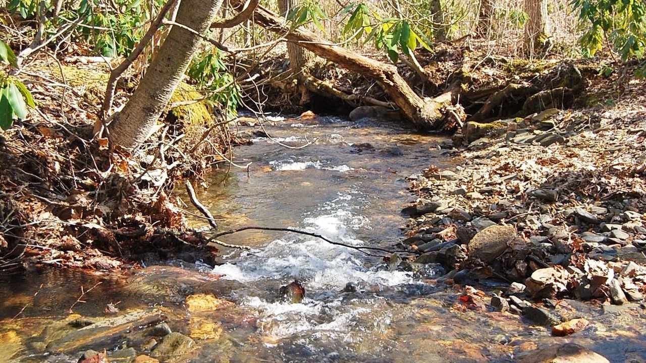 Photo of Outdoor in Todd
