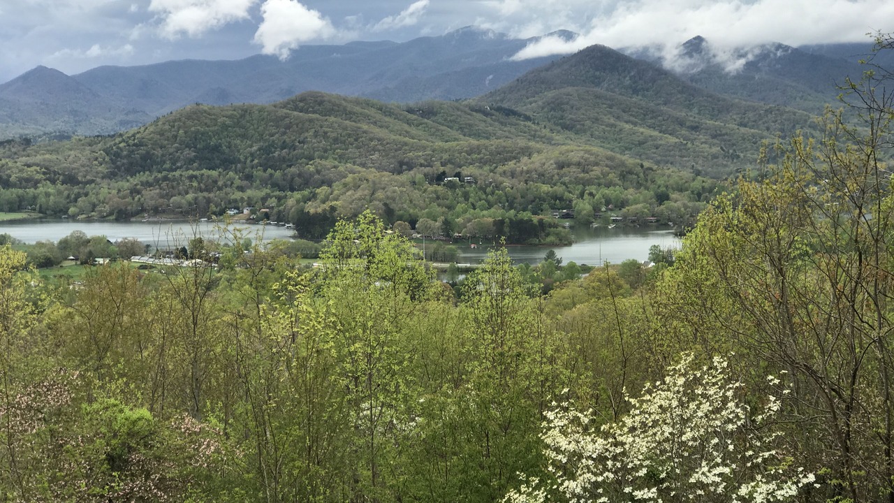 Photo of Others in Hiawassee