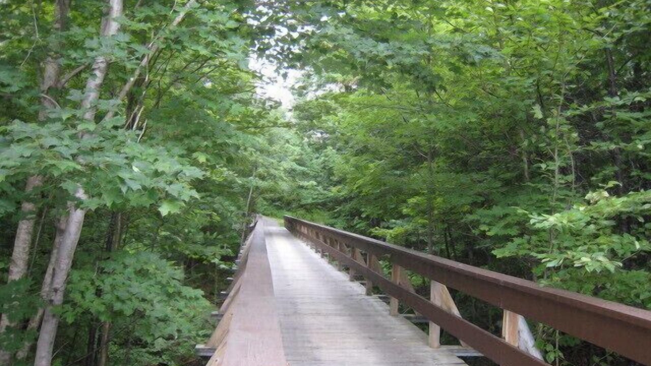 Photo of Outdoor in Lake Placid
