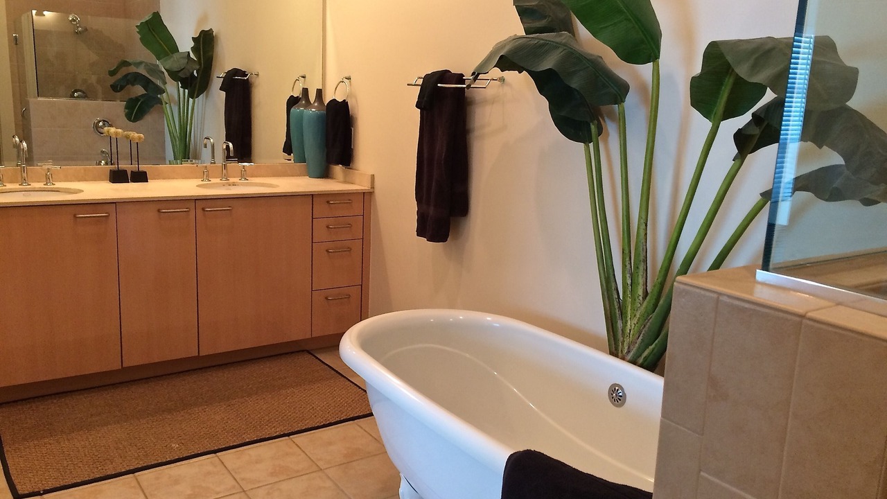 Photo of Others in Siesta Key