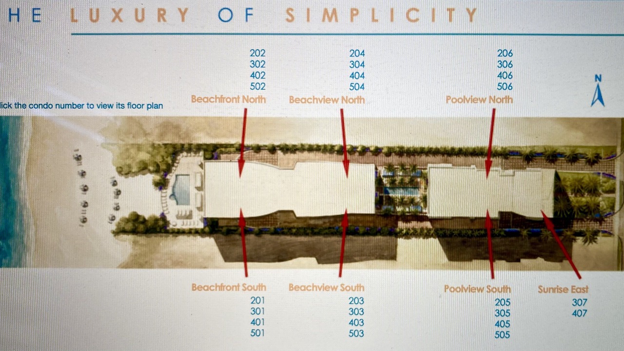 Photo of Others in Siesta Key