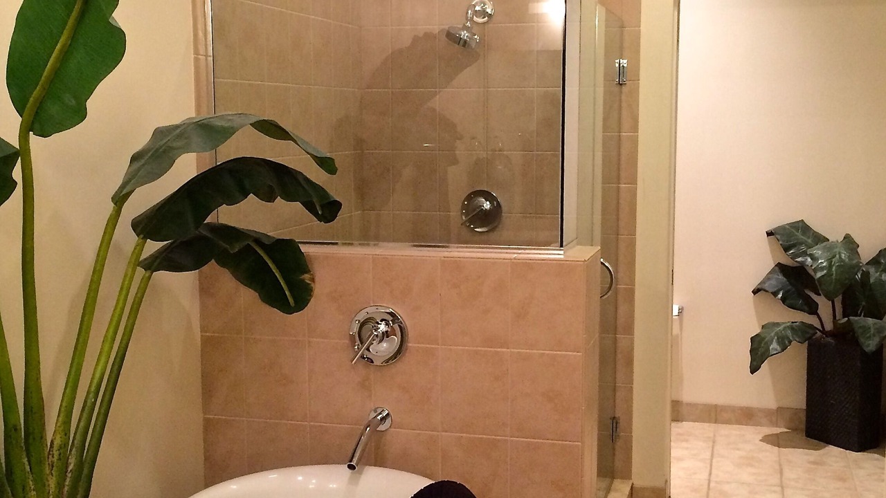 Photo of Others in Siesta Key