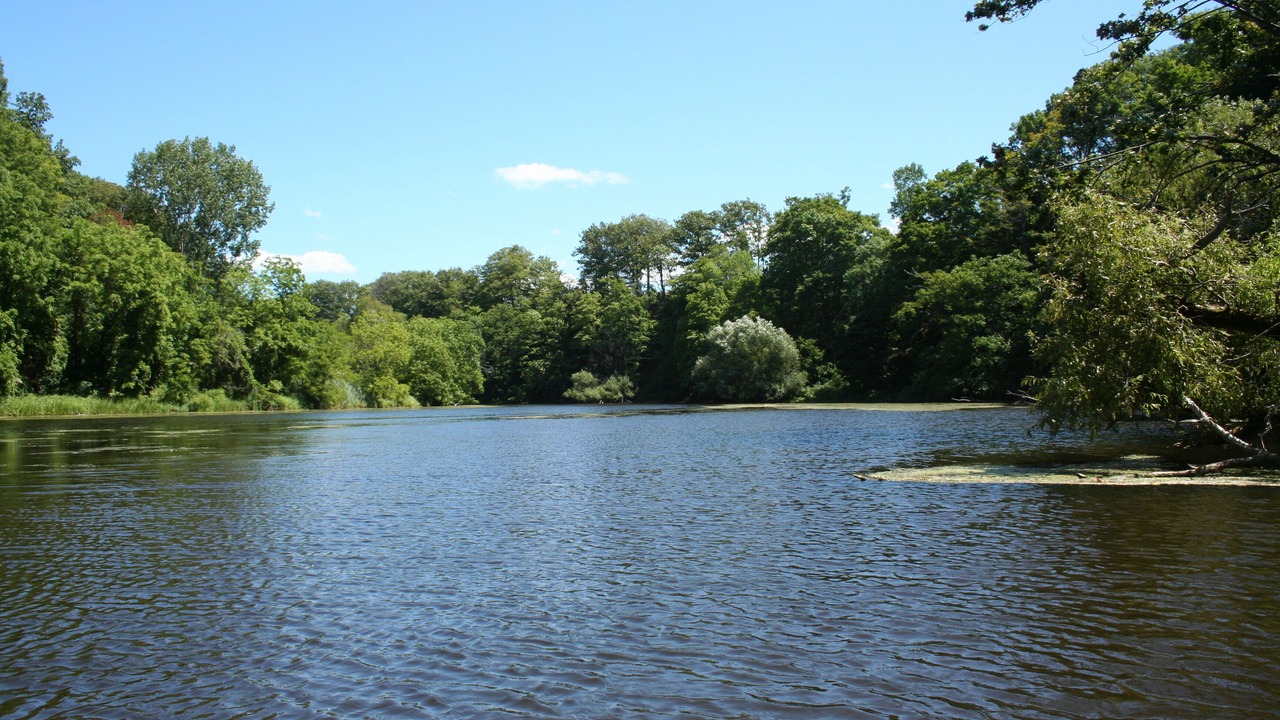 Photo of Outdoor in Waterport