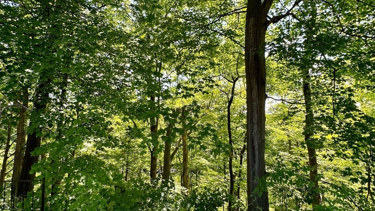 Photo of Outdoor in Waterport