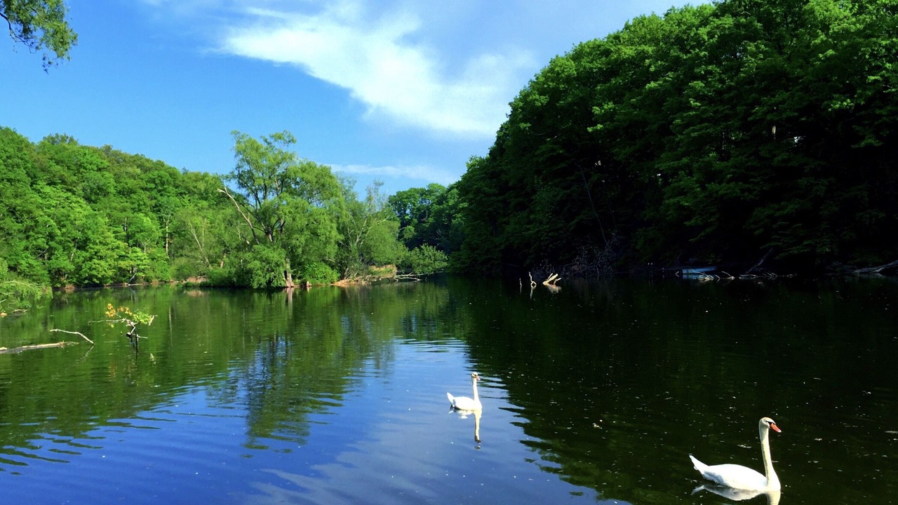 Photo of Outdoor in Waterport