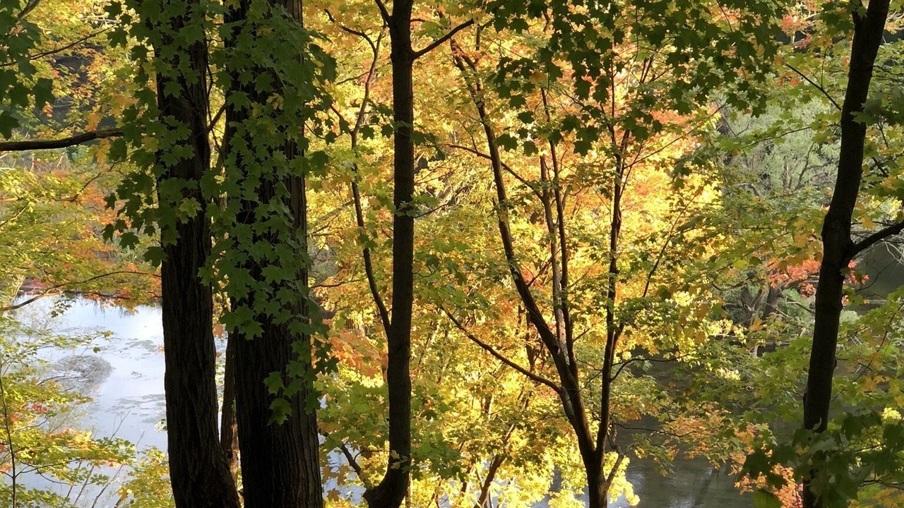 Photo of Outdoor in Waterport