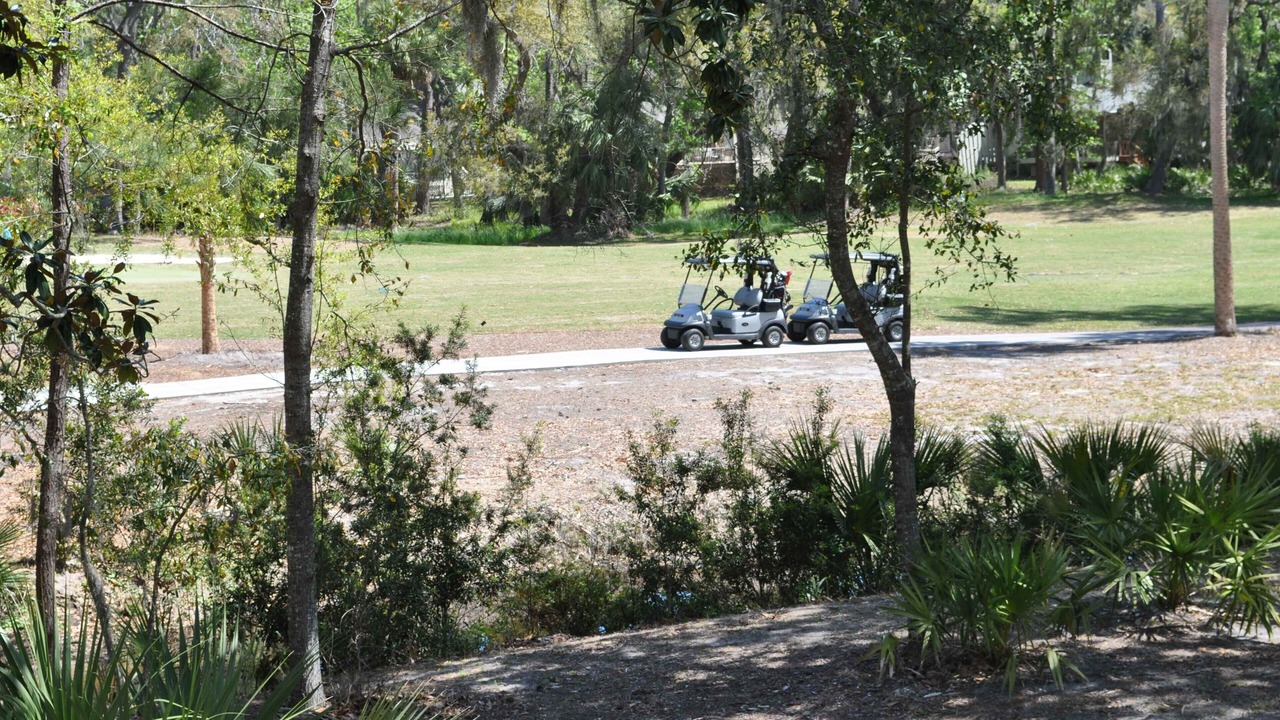 Photo of Others in Shipyard Plantation