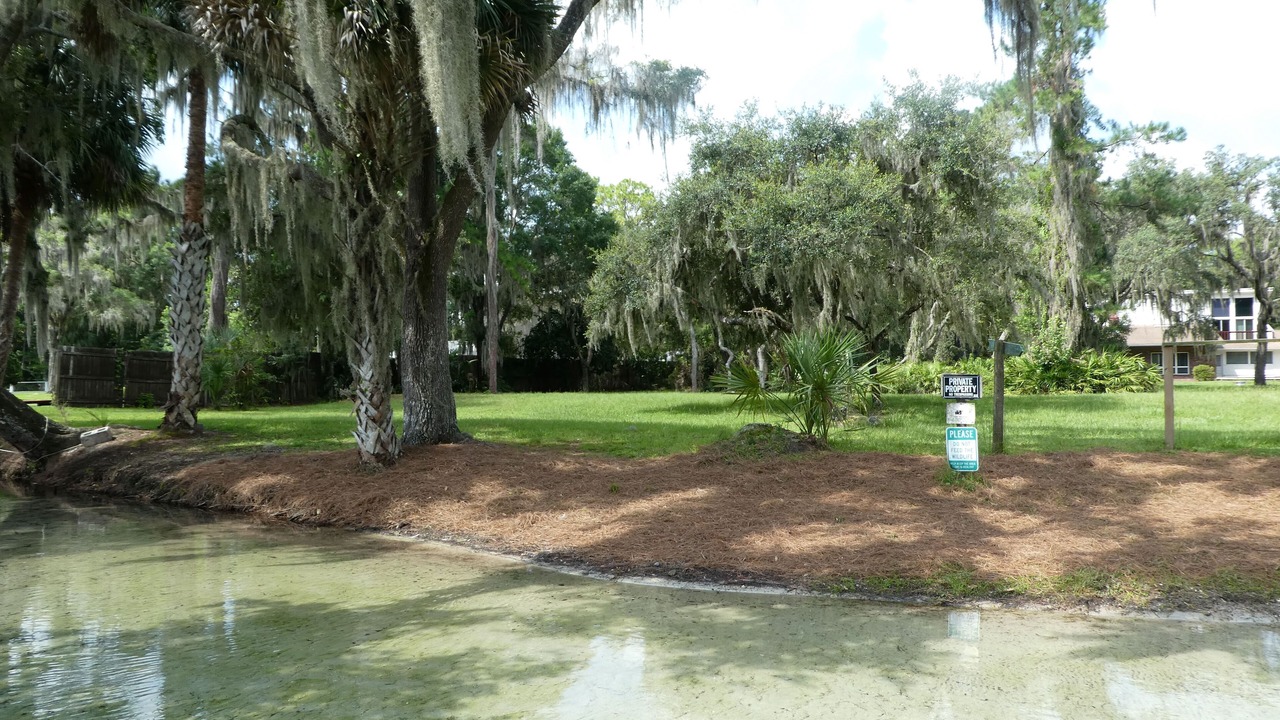 Photo of Others in Dunnellon