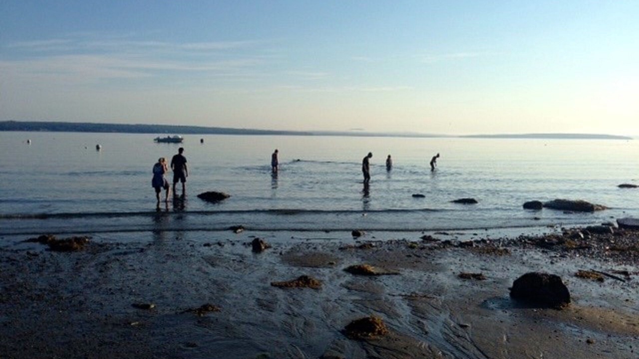 Photo of Outdoor in Bayside