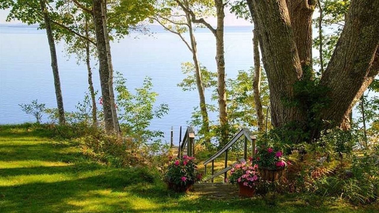 Photo of Others in Bayside