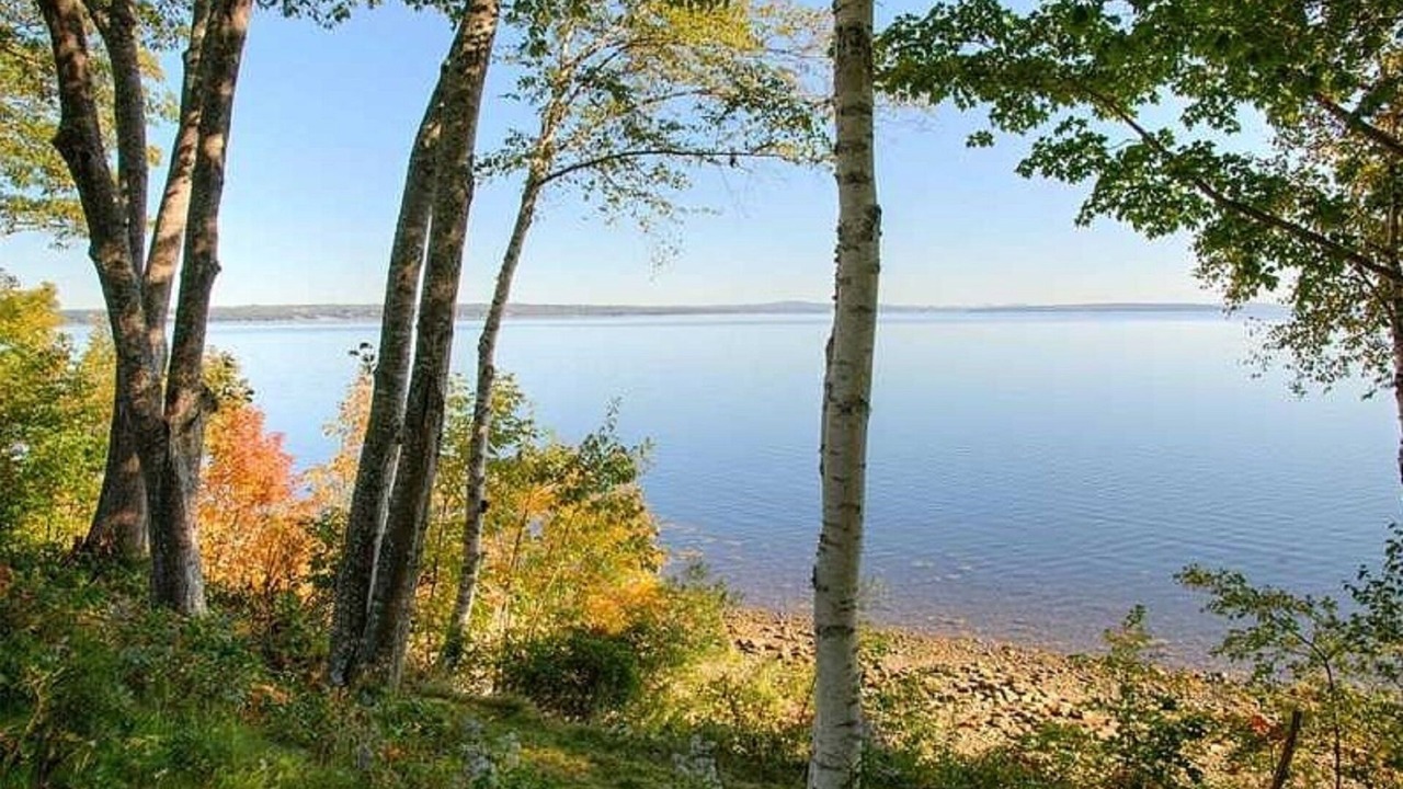 Photo of Bedroom in Bayside