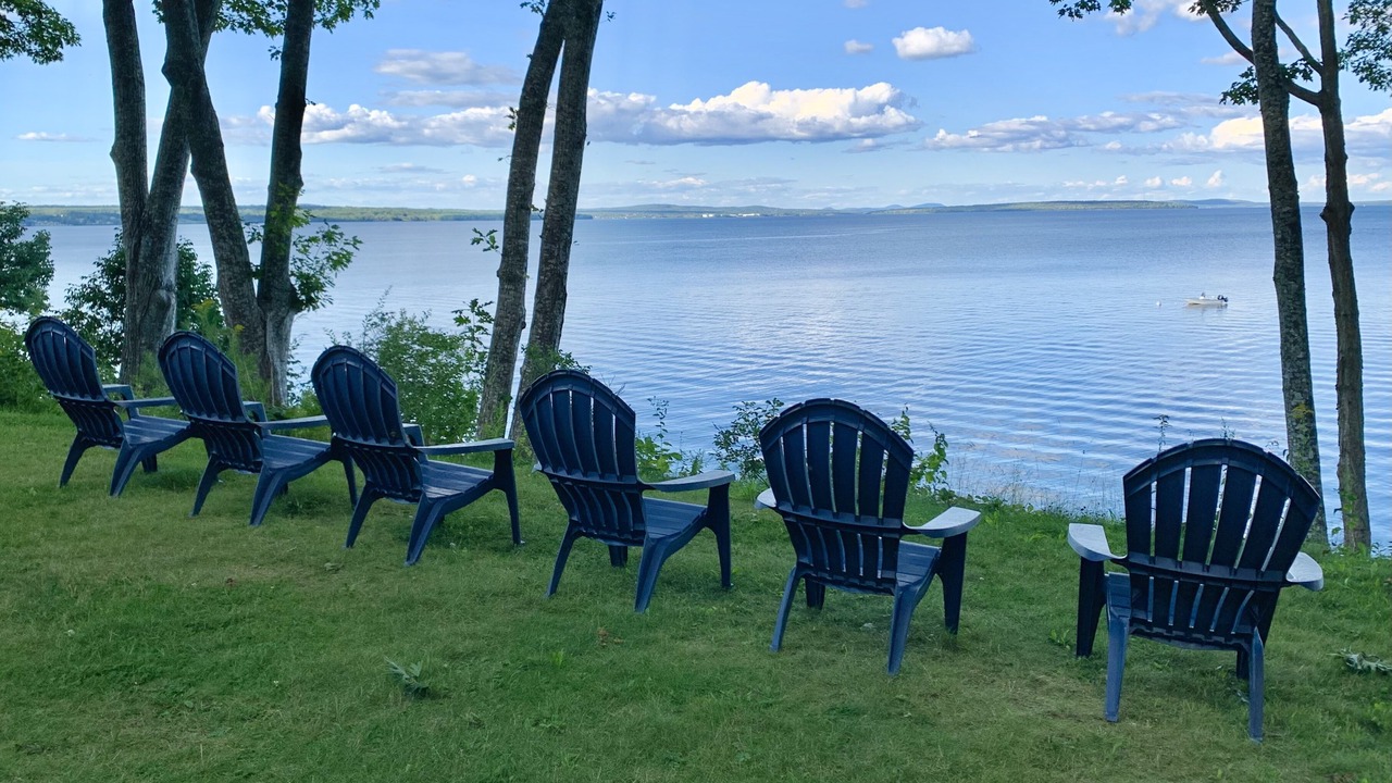 Photo of Others in Bayside