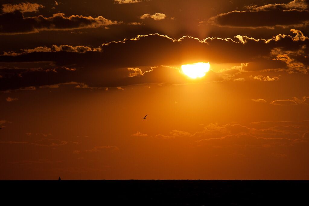 Photo of Others in North Cape May