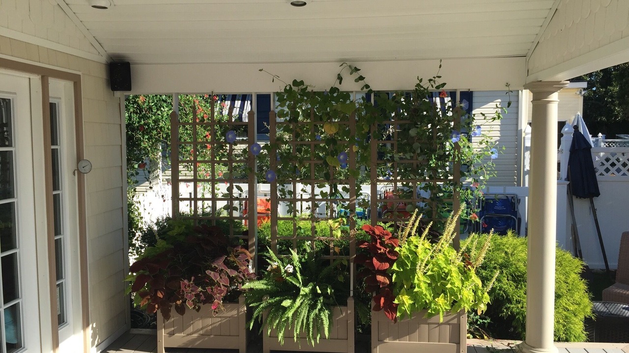 Photo of Others in North Cape May