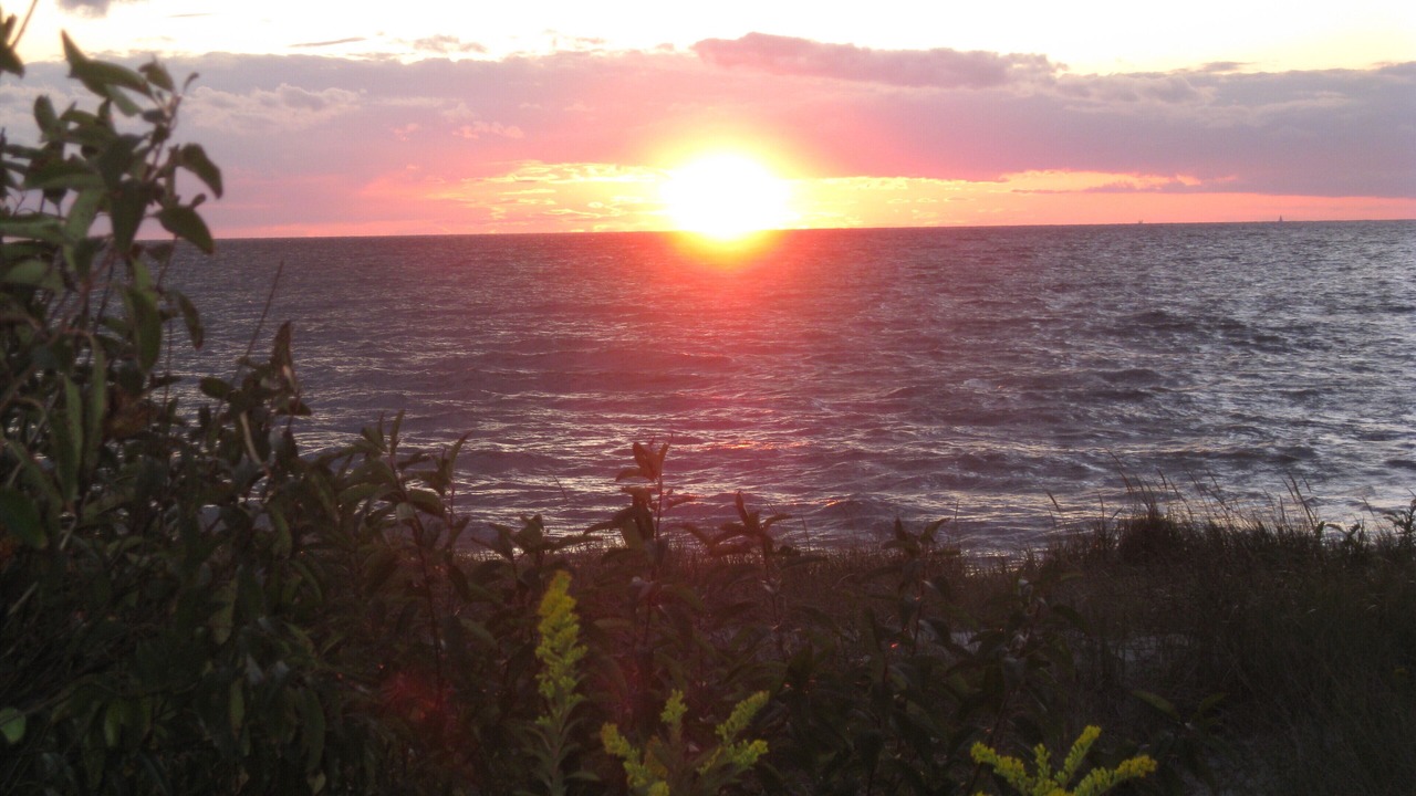 Photo of Others in North Cape May