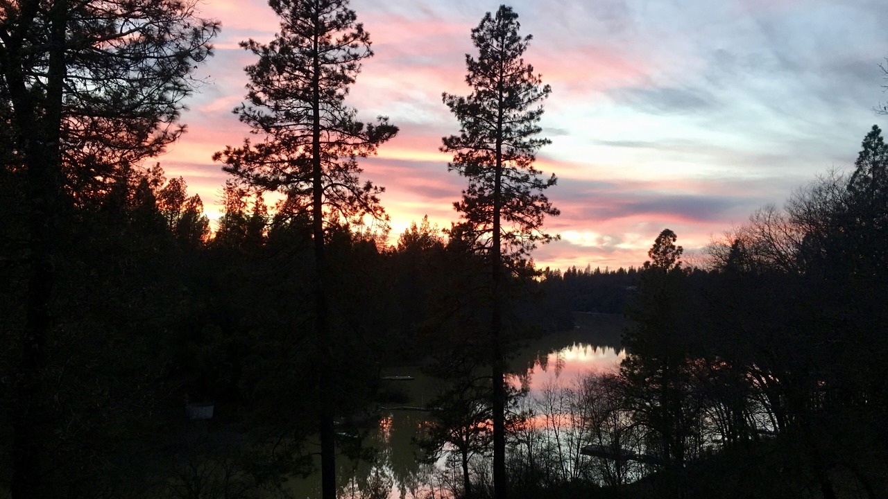 Photo of Outdoor in Meadow Vista