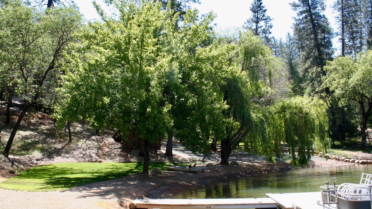 Photo of Outdoor in Meadow Vista