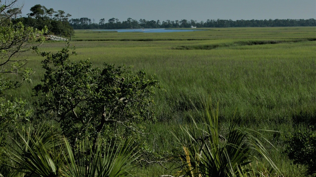 Photo of Others in Saint Helena Island