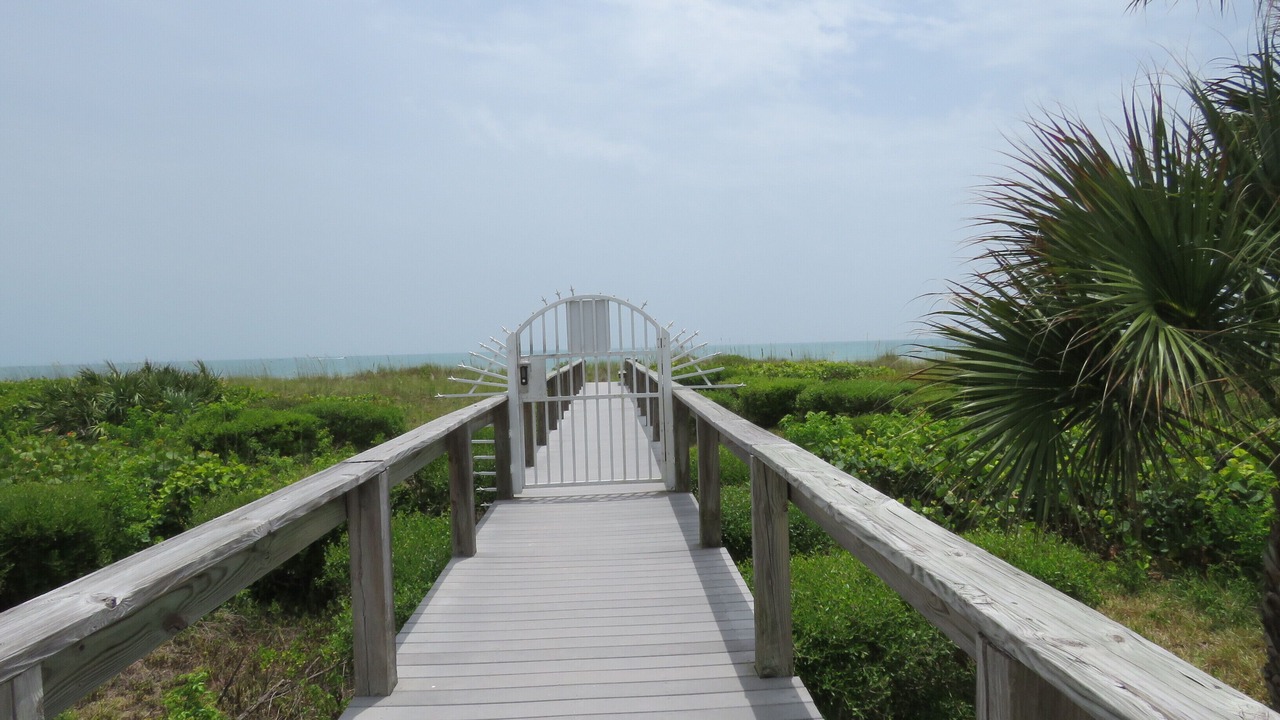 Photo of Others in Port Canaveral