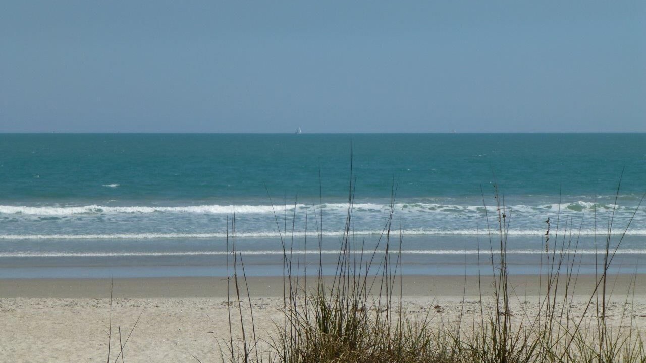 Photo of Others in Port Canaveral