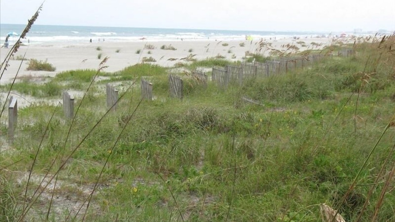 Photo of Others in Port Canaveral