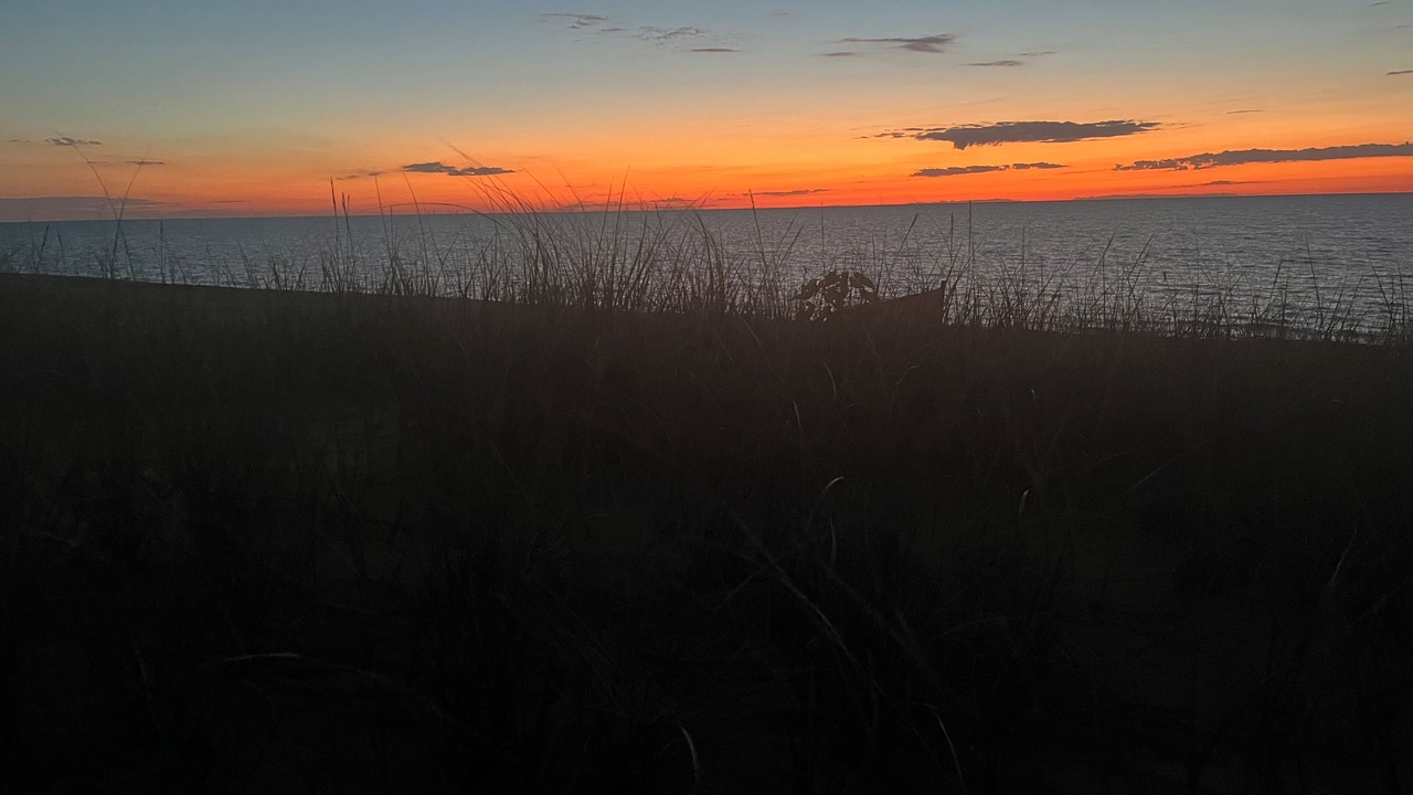 Photo of Others in Michigan City