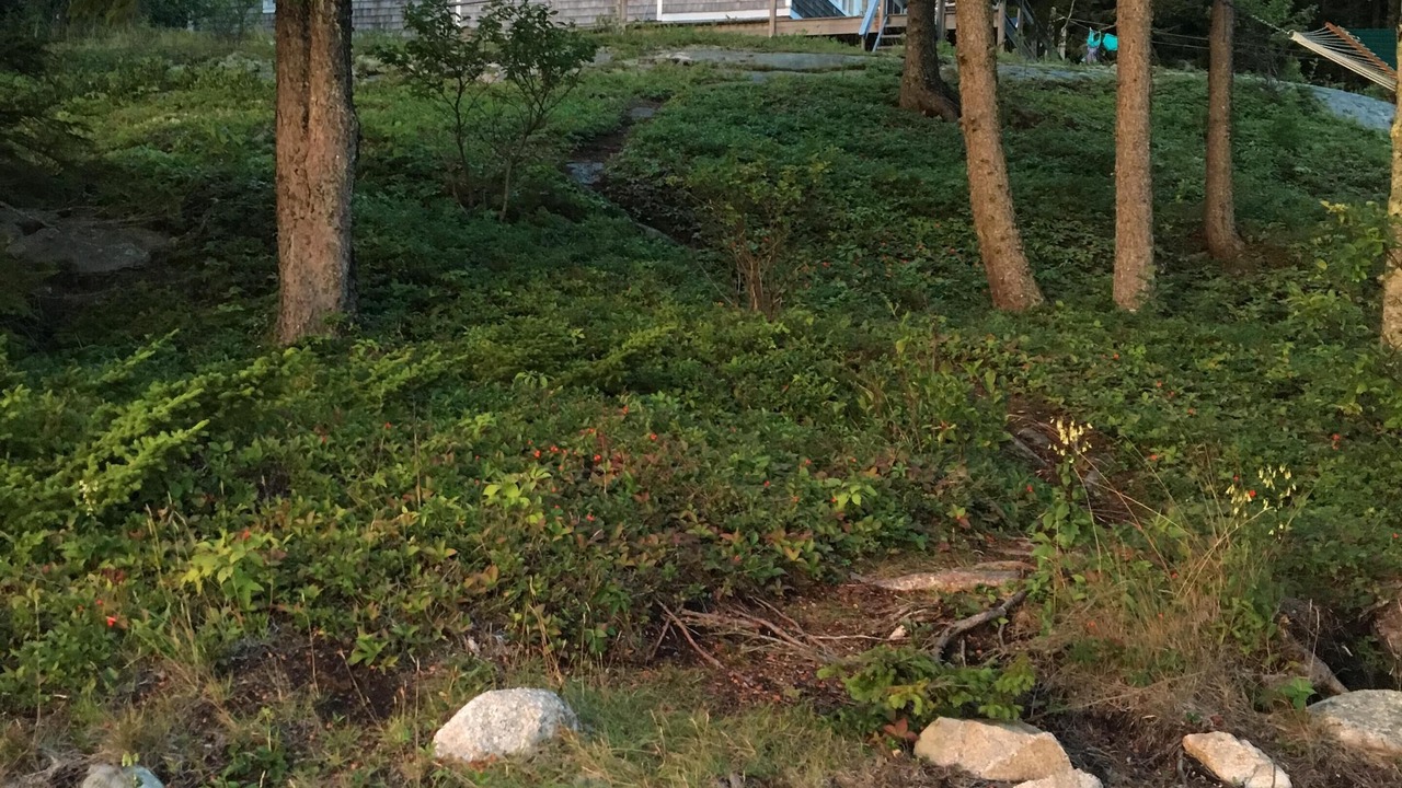 Photo of Others in Milbridge