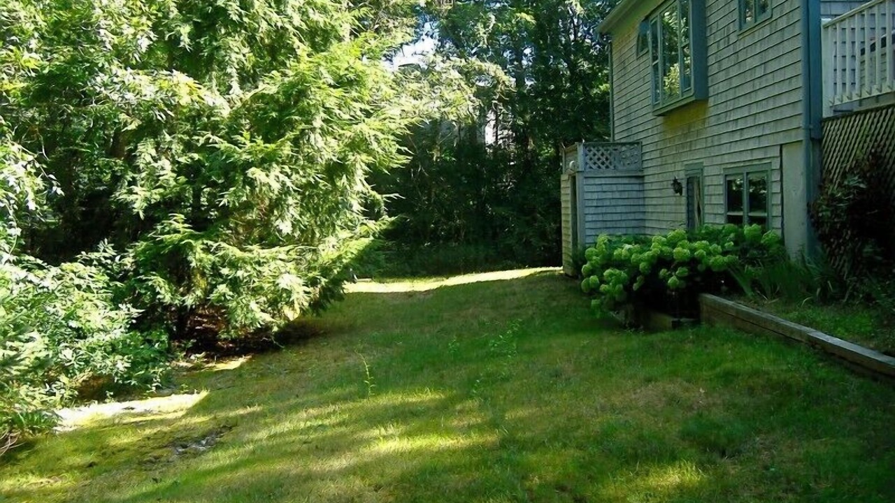 Photo of Outdoor in Hyannis