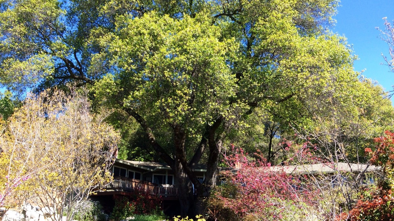 Photo of Others in Murphys