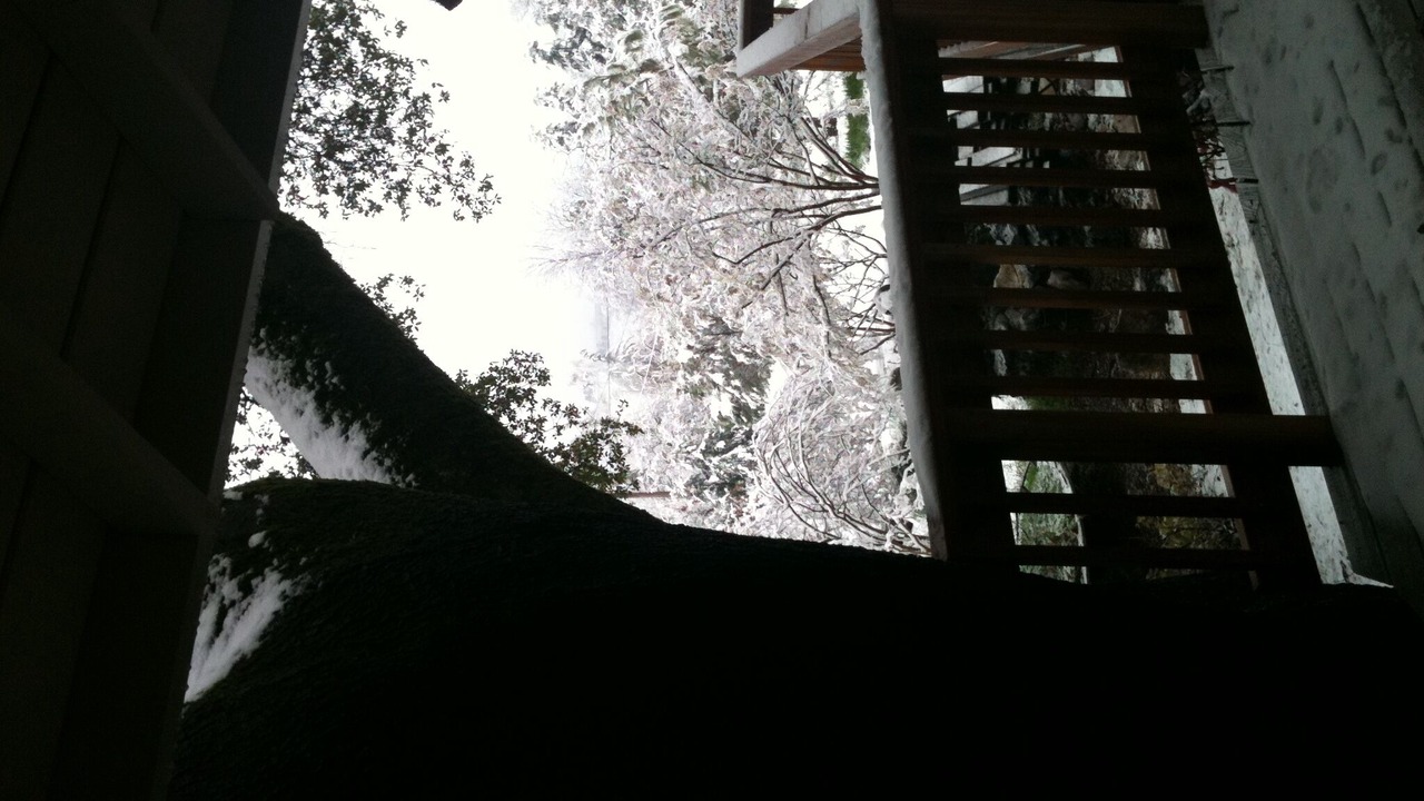 Photo of Others in Murphys