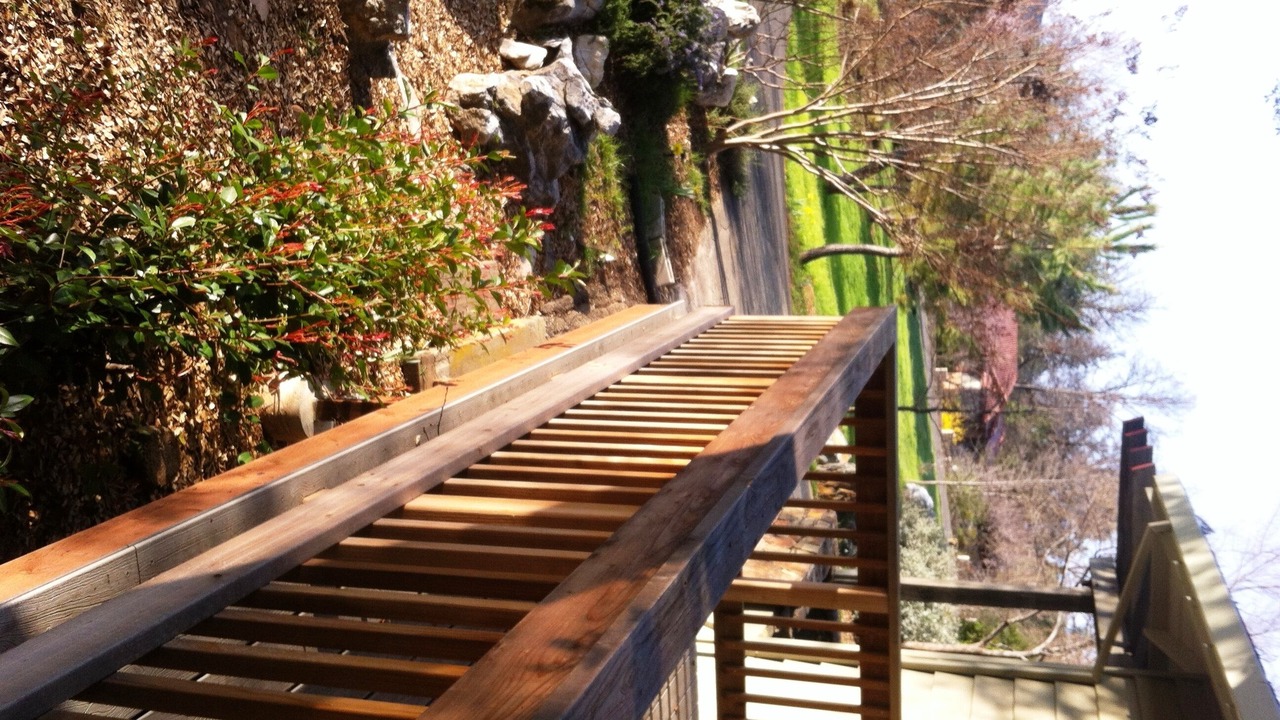 Photo of Others in Murphys