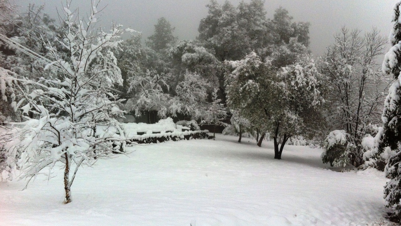 Photo of Outdoor in Murphys