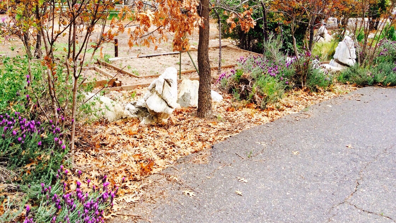 Photo of Others in Murphys