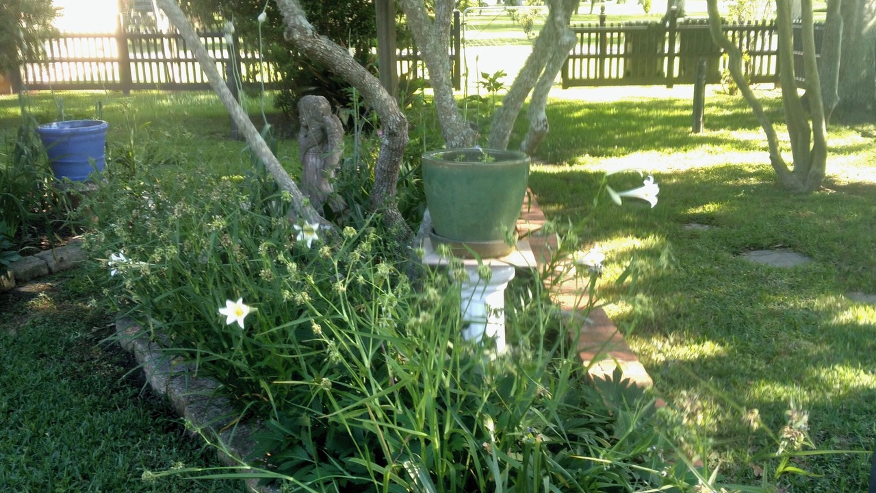 Photo of Outdoor in Fairhope