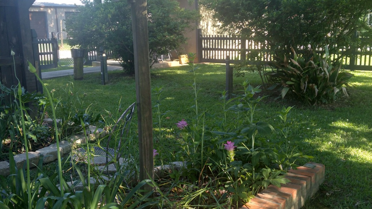 Photo of Outdoor in Fairhope