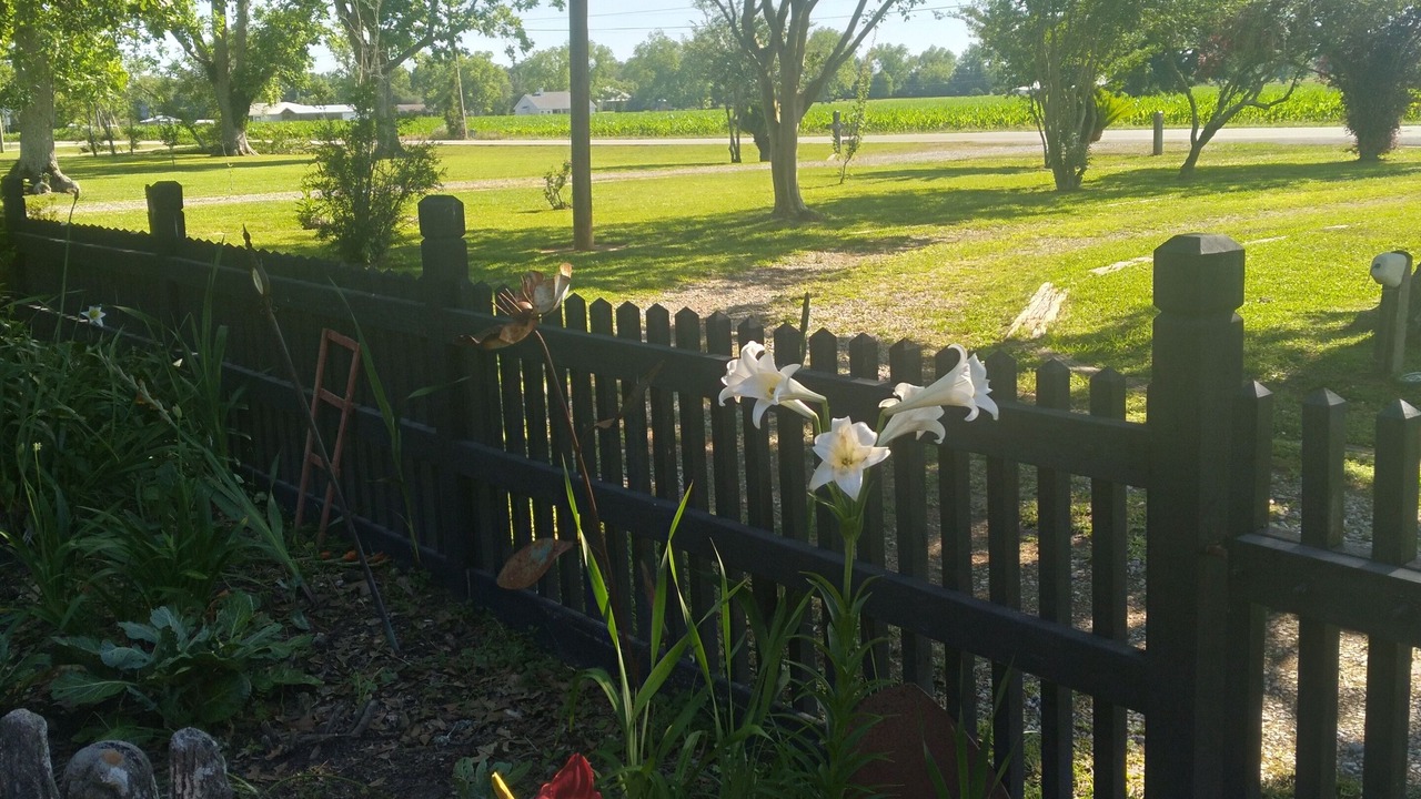 Photo of Outdoor in Fairhope
