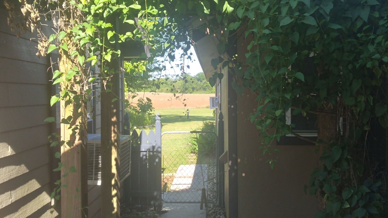 Photo of Outdoor in Fairhope